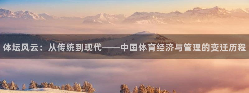 必一体育运动app：体坛风云：从传统到现代——中国体育经济与