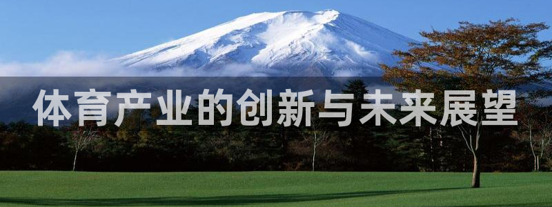 必一体育官网app：体育产业的创新与未来展望