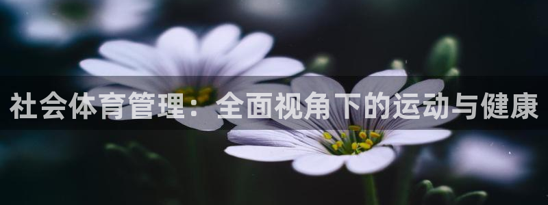 必一体育app官方网