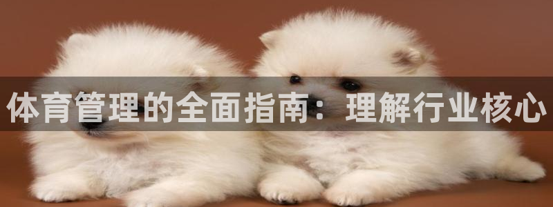 必一运动·(B-Sports)土豆