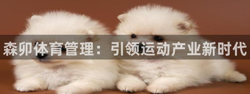 必一体育下载移动版