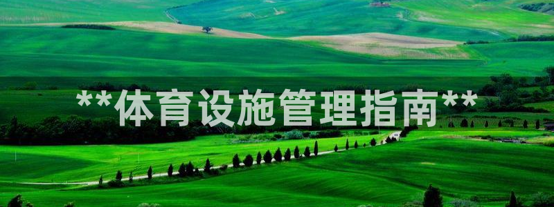 必一体育怎么下载