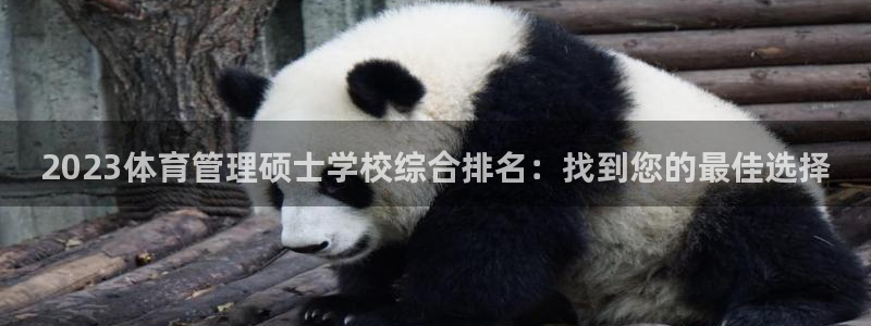 必十二和必一的副作用