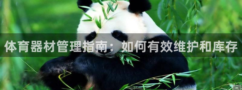 必一运动官网装机吧