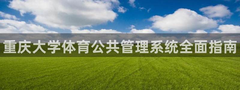 必一体育在哪下