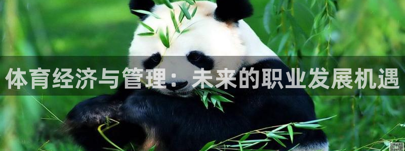 必一体育运动官网：体