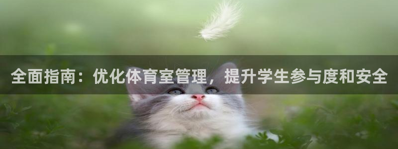 必一体育下载义：全面