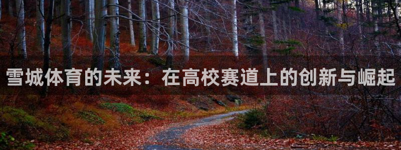 必一体育app下载：