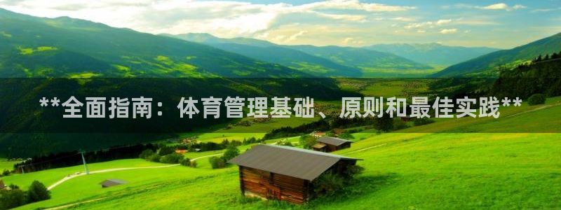 必一体育app平台下