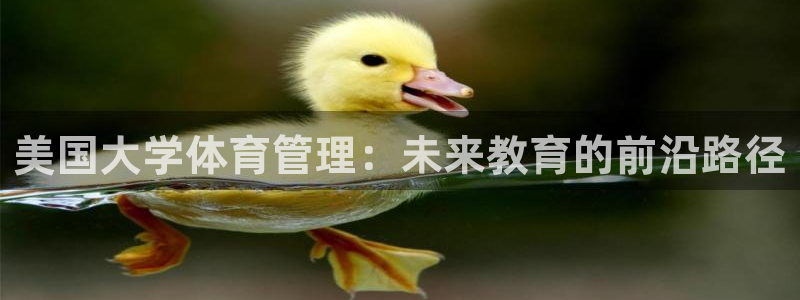 必一体育官方入口：美