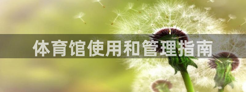 必一运动官网装机吧