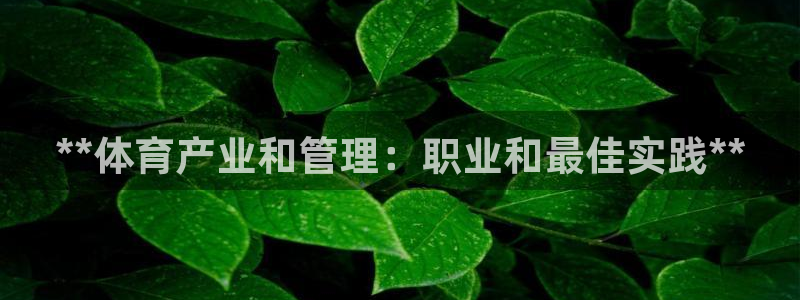 必一体育sport网