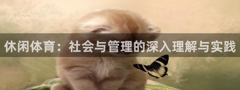 必一体育周公：休闲体