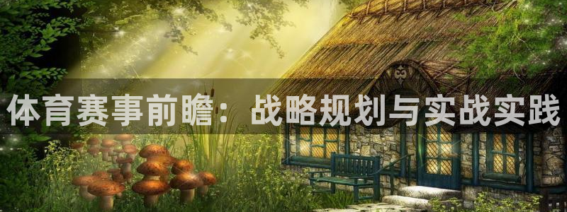 必一体育sport：