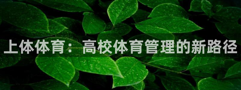 必一体育app下载装