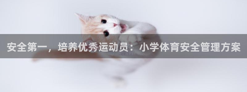 必一运动aop：安全