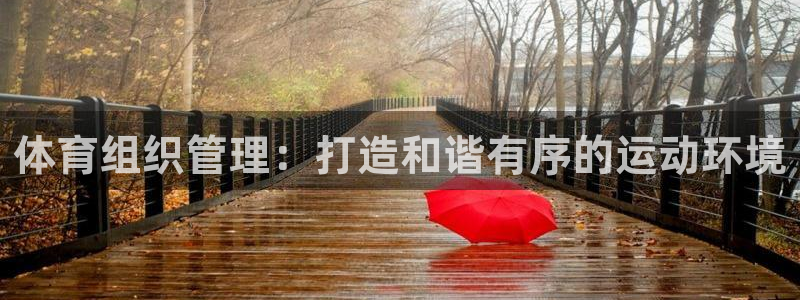 必一体育全站在线登录