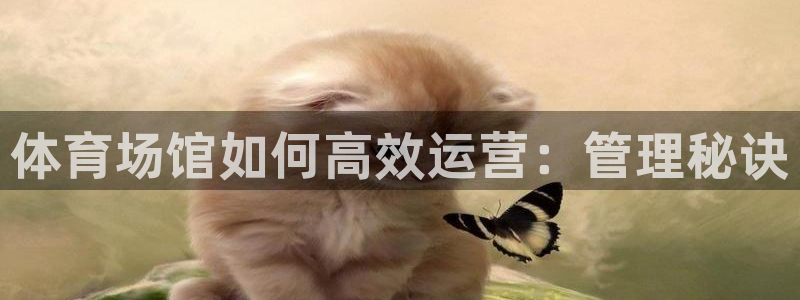 必一体育下载app：