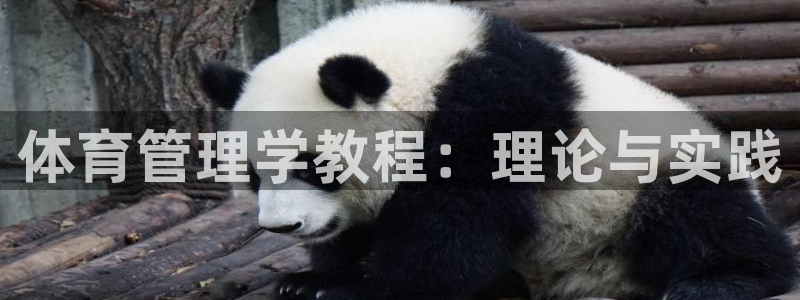 必一体育官方网站入口