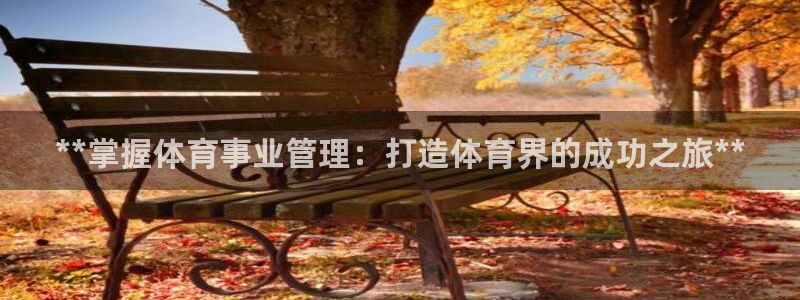 必一体育官网入口：*